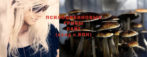 гидропоника Белоозёрский
