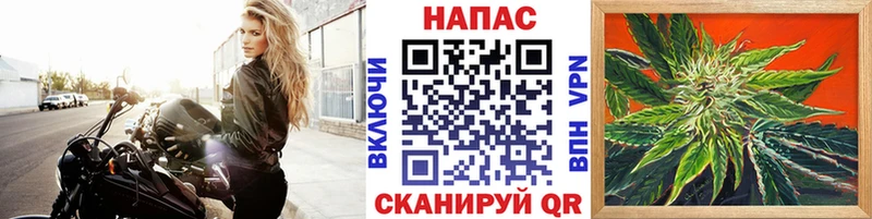 МАРИХУАНА ГИДРОПОН Мамадыш